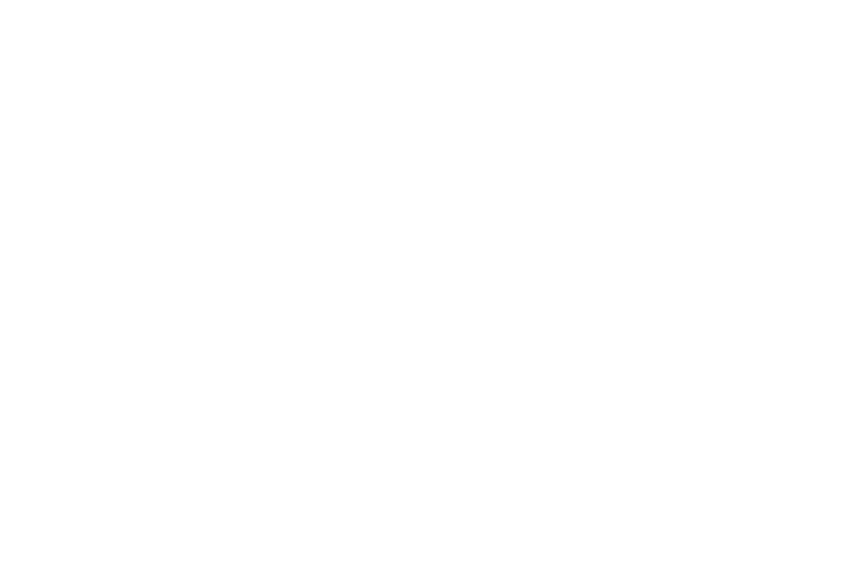 Official Selection — Santa Monica Film Festival 2023