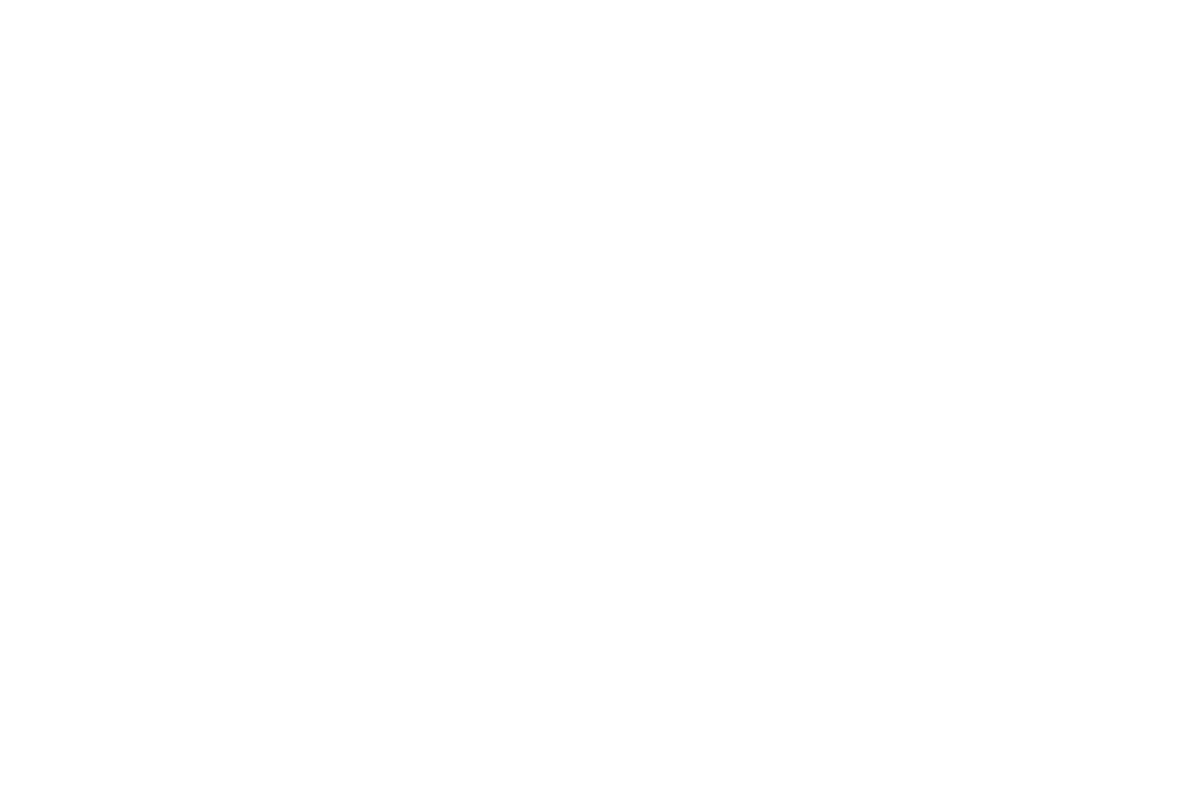 Official Selection — Montreal Independent Film Festival 2022